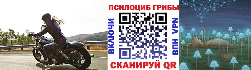 Псилоцибиновые грибы GOLDEN TEACHER Осинники