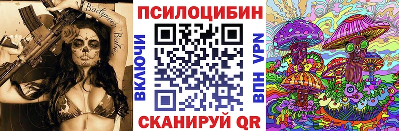 закладки Осинники Псилоцибиновые грибы прущие грибы