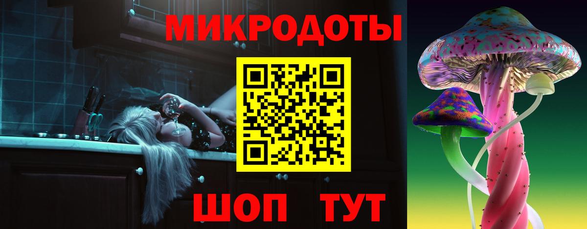 Псилоцибиновые грибы Cubensis Осинники